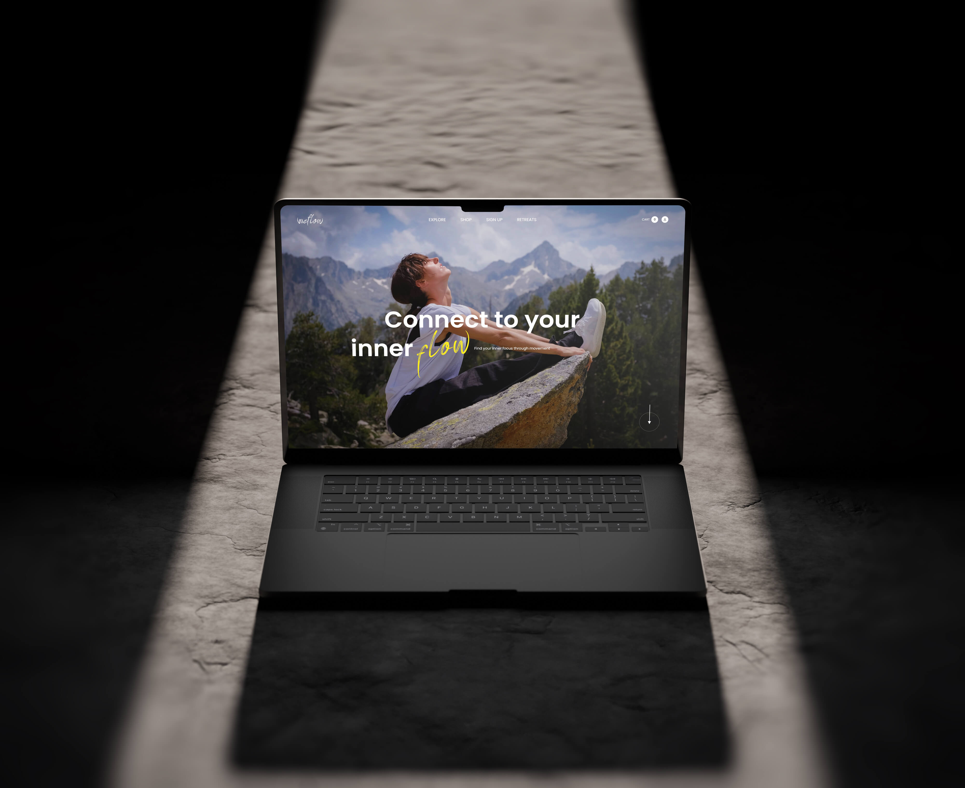 Weflow Artistsweb E Commerce Digital Product